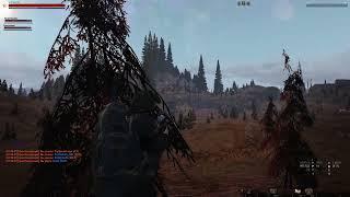 Stalker Online /Stay Out:  Shadows торфяной паук