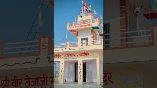 Veer Teja Ji Mharaj ️ !! #tejajimharaj #tejaltapdhari #hindudeity