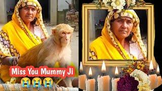 OM Shanti  | Miss You Mummy Ji | Monkey Rani