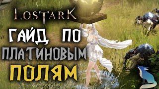 Lost Ark [Гайды]. ПЛАТИНОВЫЕ ПОЛЯ