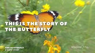 The Butterfly - A Short Story