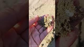 POV: Woke up from a beach and remember nothing. Ep2 #lifeisbutadream #444 #awakening