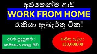 Top Work From Home Job Vacancies in Sri Lanka | Remote Jobs for Freshers & Experienced (2024)