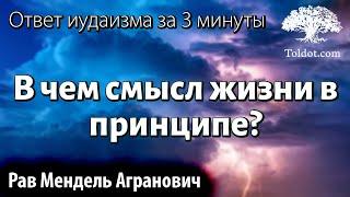 В чем смысл жизни в принципе? Ответ иудаизма за 3 минуты. Рав Мендель Агранович