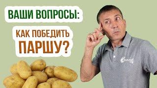 Парша на картофеле - болезни картофеля и меры борьбы с ними! Чем обработать картофель от парши?