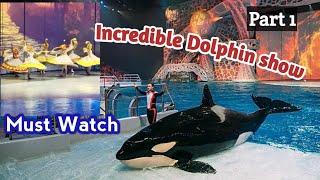 Incredible dolphin and killer whale show in Moscow|| killer whale show part 1