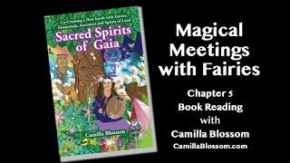 Sacred Spirits of Gaia: Chapter 5 Magical Meetings with Fairies (Book Reading w/ Camilla Blossom)