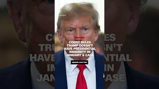 Court rules Trump does not have immunity from 2020 election subversion prosecution