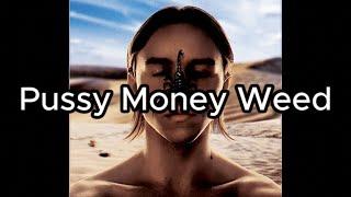 Tommy Cash - Pussy Money Weed (Lyrics)