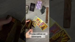 Для записи на личную консультацию WA +79185054448 #таро #любовь #tarot #мысли #гадание #таролог