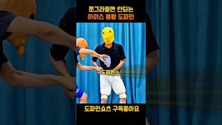 쪼그라들면 안되는 아이스 봉황 도파민
