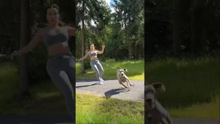 Left Out Dog Takes Sweet Revenge… But Ends Up Winning Hearts ️ #shorts #doglover #loveanimals