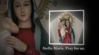 Star of the Sea! Hail, Stella Maris!