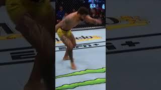 Randy Brown vs Elizeu Zaleski dos Santos: UFC 302 - INCS on MMA
