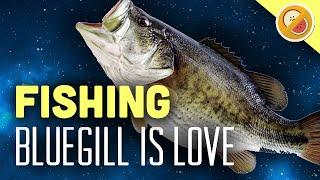 Bluegill is LOVE : Fishing Planet Funny Moments