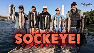 Columbia River Brewster Pool Sockeye Fishing (2024)