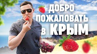 КрымОбзор. Эльвир Салихов