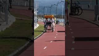 Sochi Sirius Boardwalk Bike Walk   #shorts