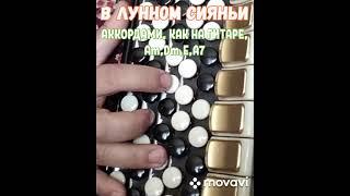 БАЯН."В ЛУННОМ СИЯНЬИ" БЕЗ НОТ АККОРДАМИ Am, Dm, E, A7, КАК НА ГИТАРЕ.АВТОР ЕВГЕНИЙ ЮРЬЕВ.