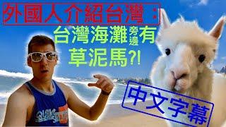 外國人介紹台灣：台灣海灘有草泥馬咖啡店嗎?! Did you know Taiwan has an alpaca café next to the beach!?