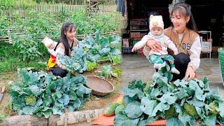 Single Mom: Harvesting Cauliflower to Sell, Growing More Vegetables | Farm life