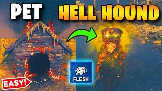 *INVINCIBLE PET DOG* MW3 Zombies – How To Get A Friendly Pet Hell Hound! (Dog House Locations MW3)