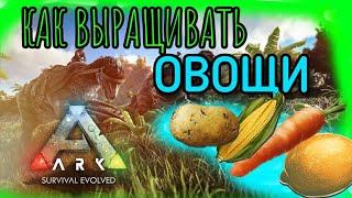 КАК ВЫРАЩИВАТЬ ОВОЩИ В ARK MOBILE | Арк Мобайл