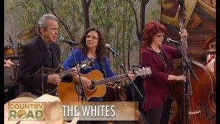 The Whites - "Dust on the Bible"