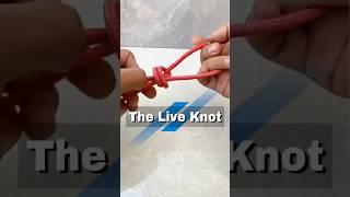 Simple Knot, Incredible Benefits: A Timeless Tying Technique #diy #interesting