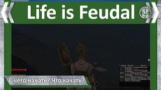 С чего начать? Что качать? Life is Feudal