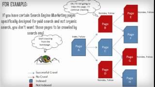 Robots.txt VS. Noindex Robots Meta Tag – When To Use Which?