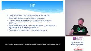 Пака М. В. - Инфекционный перитонит кошек [часть информации устарела, FIP теперь излечим]