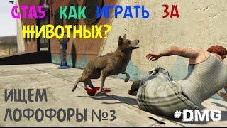 GTA5 КАК ИГРАТЬ ЗА ЖИВОТНЫХ? (ЛОФОФОРЫ) №3