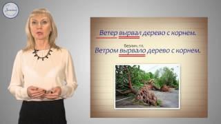 Русский 6 класс. Безличные глаголы