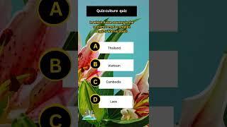 CULTURAL QUIZ  quiz #shorts #trending #shortsvideo #travel #quiz