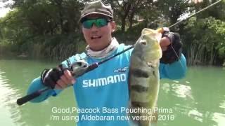 2016 Shimano  Aldebaran BFS Field Test Part 2