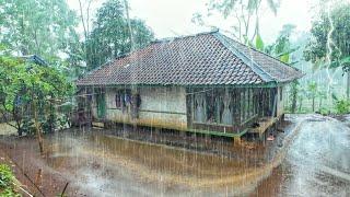 SUASANA SORE YANG TENANG, HUJAN TURUN DI KAMPUNG NAMBAH BETAH, HAWA DINGIN PEDESAAN SUNDA JAWA BARAT