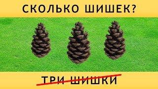 ЗАГАДКИ С ПОДВОХОМ - СЛОМАЙ МОЗГ