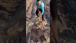 The best Multipurpose agricultural tools - Multi-Purpose Rake