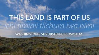 This Land Is Part of Us: Washington’s shrub-steppe ecosystem