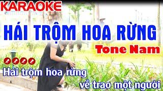 Hái Hoa Rừng Cho Em ( Hái Trộm Hoa Rừng ) Karaoke Nhạc Sống Tone Nam ( Siêu Phẩm ) - Tình Trần Organ