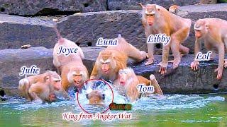 Amazing News ! King Banun wants to take Jennifer from Julie But Tom Luna Joyce Libby Loy  help