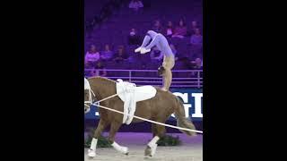 Vaulting️ #equestrian #horses #horseriding #trending #horse #fypシ #vaulting