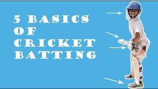 Cricket batting basics | 5 basics of cricket batting for beginners | cricket coaching for kids