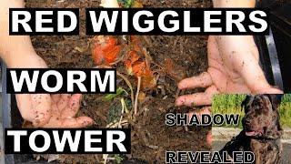 Unleash Your Red Wiggler Vertical Worm Farm Potential