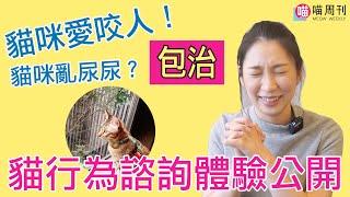 【解救貓咪愛咬人問題】貓咪行為諮詢實際體驗