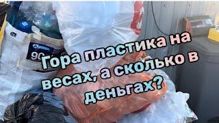 Сколько стоит пет бутылка и куда ее сдавать?