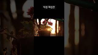 경악! 종이로 만든 '블루베리', '버섯'이 실제 같다면? 페이퍼 아트의 신세계!