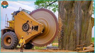 150 Fastest Big Chainsaw Cutting Tree Machines Skills | Tree Felling Climbing With Chainsaw