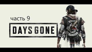 Прохождение Жизнь После (Days Gone)-Часть 9:Прогулка с Рикки